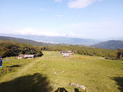 Imagen 7 de 7 de En Venta Finca Capacho Libertad 19.5 Has Ah