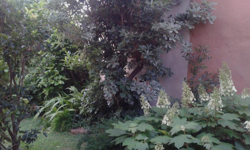 Casa - S.fer.-libert./rio