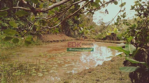 Imagem 13 de 15 de Chácara Com 1 Dormitório À Venda, 1200 M² Por R$ 110.000,00 - Pouso Alto - Natividade Da Serra/sp - Ch0694