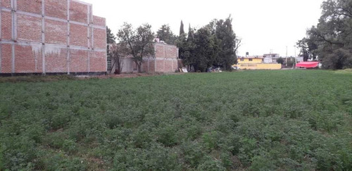 Imagen 7 de 13 de Rancho En Venta En Teoloyucan