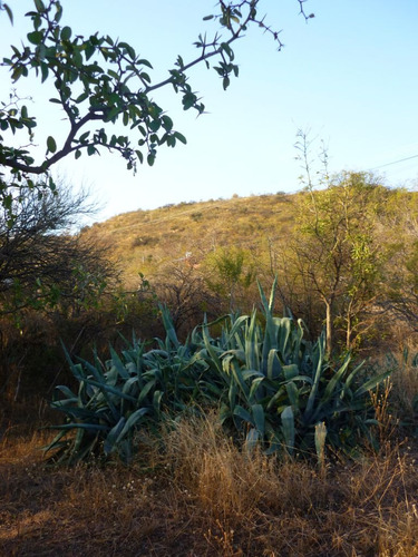 Vende Lote En San Marcos Sierras - 4500m2 A 700m De La Plaza