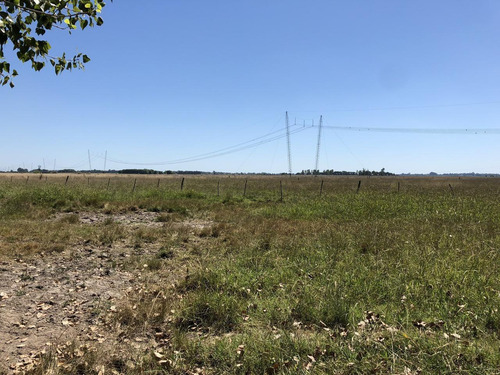 Imagen 7 de 12 de Campo En Venta En La Plata Ruta 215 Dacal Bienes Raices