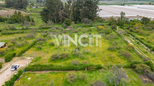 Parcela De 5000m2 Condominio Las Añañucas Limache