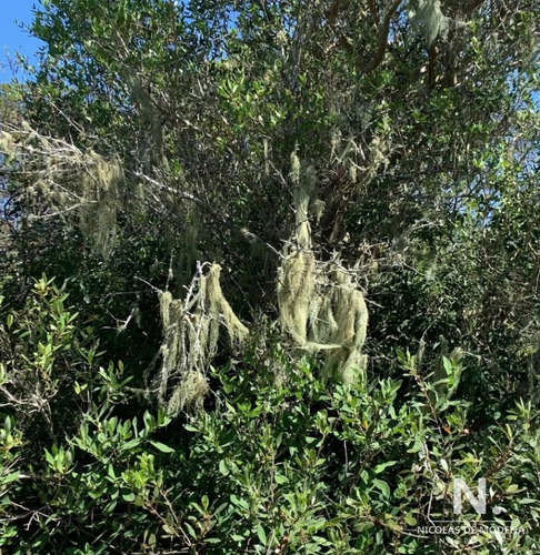 Chacra De 6 Has Prox A Aigua, Rodeado De Bellas Vistas