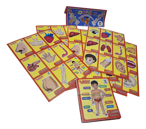 Juego Mesa Lotería Educativa Partes Cuerpo Didáctica Escolar