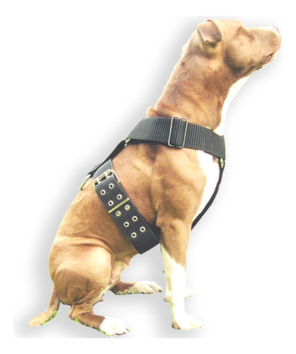 Pretal Pit Bull Collar Halti Correa Arnes Pechera Perro