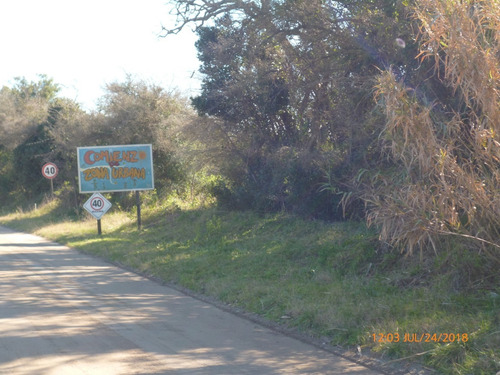 Imagen 2 de 11 de Dos Amplios Lotes En Ruta 11