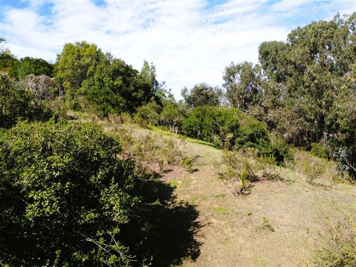 Sitio En Venta En Cachagua