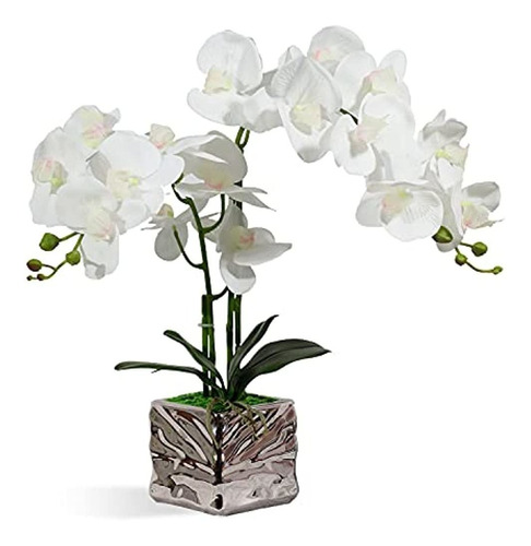 Orquídea Con Jarrón De Plata Flores Artificiales Planta De O