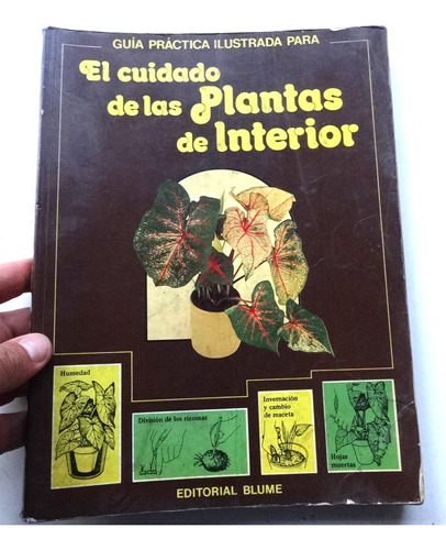 Libro Plantas De Interior Longman Editorial Blume