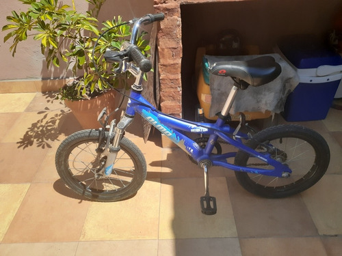 Bicicleta Olmo