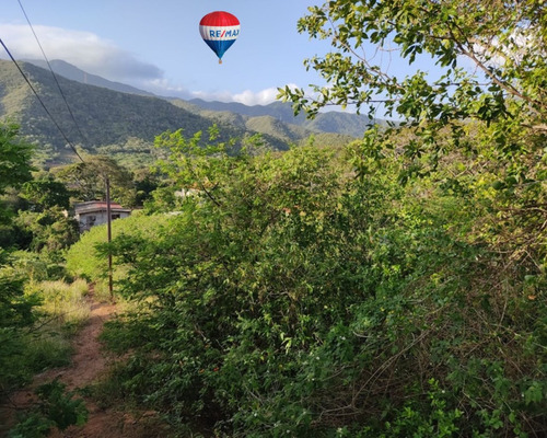 Excelente Terreno En La Población De Tacarigua En La Isla De Margarita, Nueva Esparta