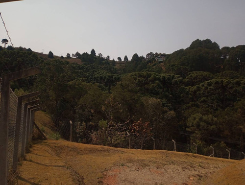 Imagem 6 de 15 de Terreno No Jd. Cataguases Em Campos Do Jordão - 43