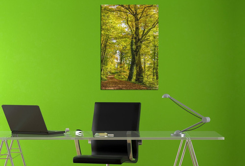 Vinilo Decorativo 40x60cm Paisaje Follaje Aire Libre M3