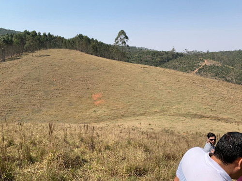 Imagem 13 de 14 de 54ne- Terreno 1000m2 R$40.000 Mil -localização Na Descrição