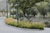 Comprar En Venta Lotes Residenciales En Cantaua
