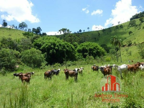 Imagem 18 de 30 de Sítio Sítio À Venda Em Taubaté/sp - 1386
