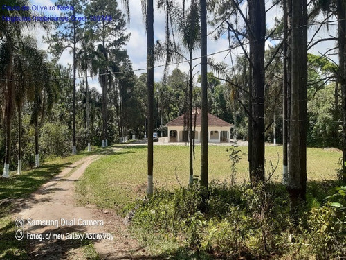 Imagem 19 de 23 de Chacara - Ch00038 - 70339824