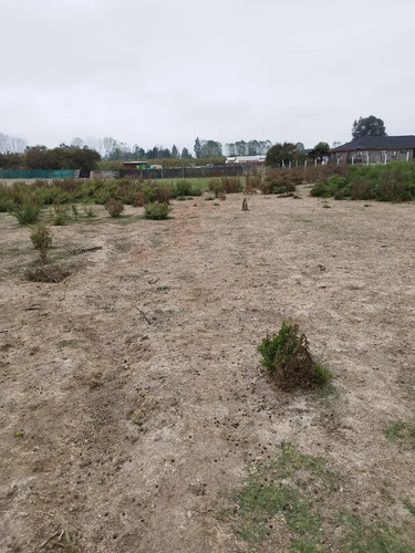 Parcela En Venta Cercana Al Lago Rapel- Oportunidad