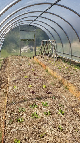 Invernaderos A Medida Para Tu Huerta En Acero Inox. 