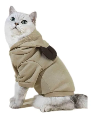 Gato con buzo new arrivals