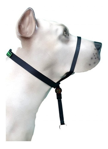 Imagem 1 de 3 de Coleira Cabresto K-9 Spirit Preta P