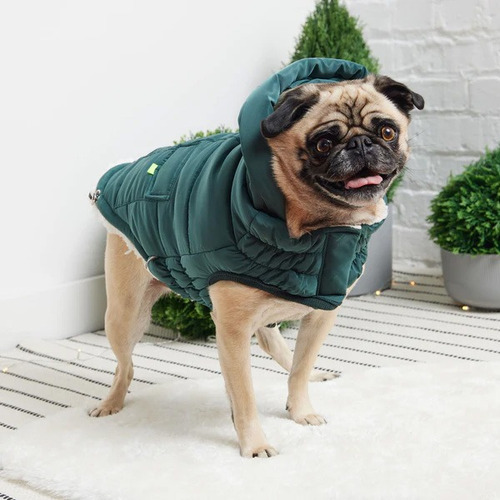Gfpet Parka Super Puff Impermeable Perro, Verde - Medium