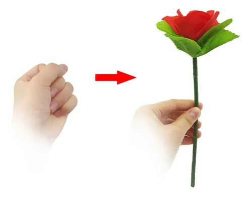 Flor Aparición Truco De Magia