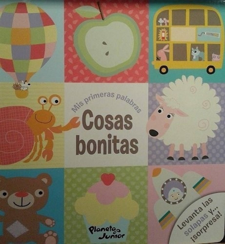 Cosas Bonitas [coleccion Mis Primeras Palabras] (cartone) -