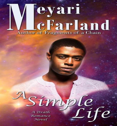 A Simple Life, De Meyari Mcfarland. Editorial Mary M Raichle, Tapa Blanda En Inglés