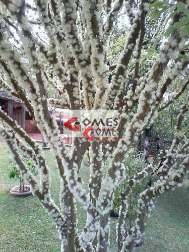 Imagem 26 de 30 de Chácara Com 4 Dormitórios À Venda, 1160 M² Por R$ 650.000,00 - Jardim Flamboyant Iii - Boituva/sp - Ch0032