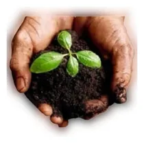 Comprar Tierra Preparada, Tierra Para Macetas Y Jardineras 60 Kg