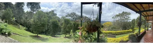 Rhbr-11576 Finca (guarne)