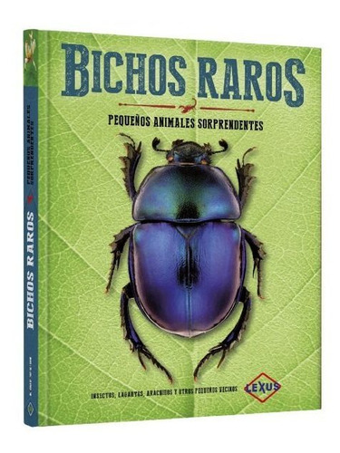Libro Insectos Bichos Raros Pequeños Animales Sorprendentes