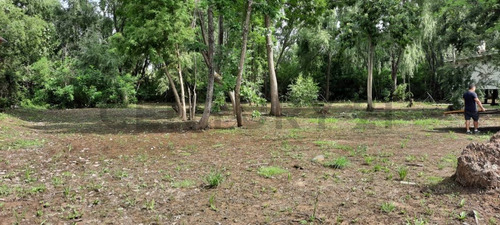 Imagen 2 de 13 de Venta - Lote - Terreno - Isla Del Caraguata - Islas Del Delta - Tigre