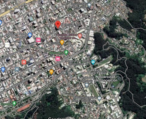 Imagen 15 de 17 de Depto. 2 Dorm. Edif. Gold-concepción (o´higgins-paicaví)