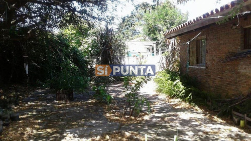 Imagen 1 de 11 de Casa En Punta Del Este, Pinares