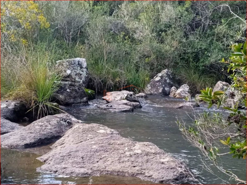 Imagen 2 de 14 de Maldonado - Venta De Campo Con Costa !! Zona De Aiguá
