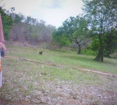Imagen 2 de 9 de Finca En Venta Tinaco Cojedes