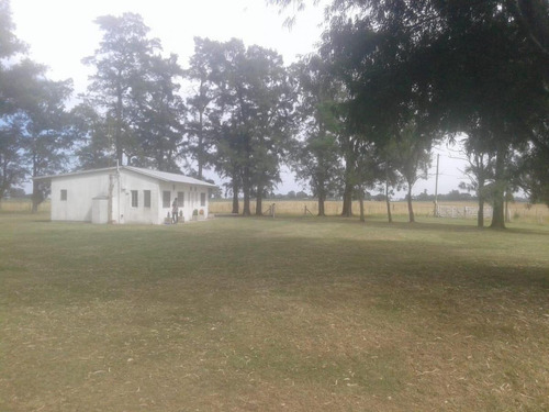 Imagen 10 de 18 de Venta Chacra 40 Hs Con Criadero De Cerdos En Las Flores.