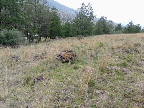 Imagen 11 de 13 de Atractivo Terreno A Pie De Carretera En Tepotzotlán