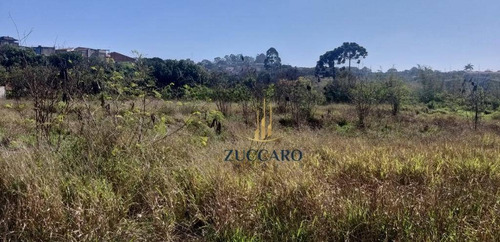 Área À Venda, 70000 M² Por R$ 21.000.000,00 - Jardim Do Triunfo - Guarulhos/sp - Ar0193