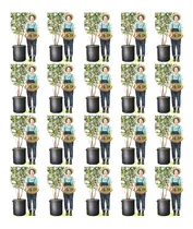 Comprar 20 Macetas 80 Litros Macetas Arboles Macetas Hortalizas