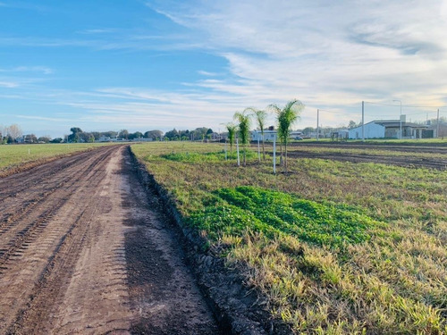 Terrenos 360 M2 Ricardone Todos Los Servicios