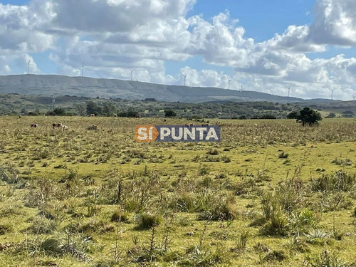 Imagen 4 de 5 de Campo En Venta Las Cañas, Maldonado