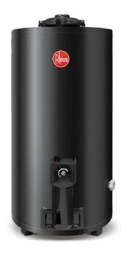 Imagen 3 de 7 de Termotanque A Gas Rheem 80 Lts G N Cuotas Sin Interes Beiro