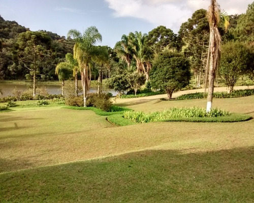 Imagem 22 de 30 de Excelente Sítio Rico Em Água Á Venda Em Juquitiba. - 194 - 32982689