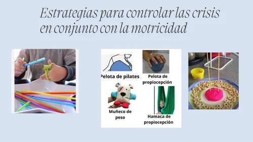 Libro/ Capacitación Para Padres De Niños Con Autismo