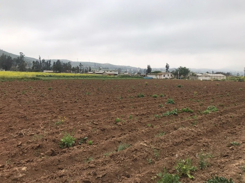 Sector Los Laureles Parcela En Venta