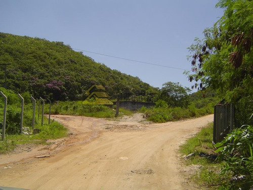 Imagem 16 de 16 de Terreno - Ref: Dir1852